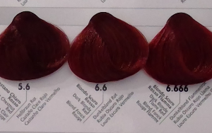 Echos line Echocolor Avec Ammoniaque